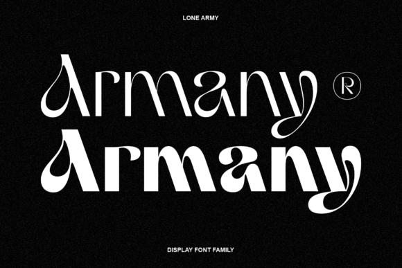 Armany Font: Modern Display Typography for Web Design